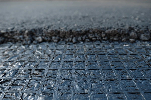 Geogrid